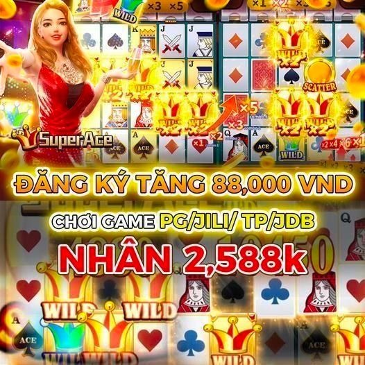 vn88